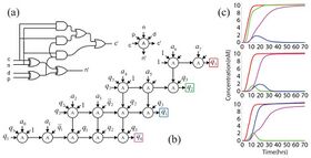 Digital Logic with Molecular Reactions