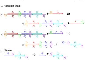 Computing Mathematical Functions with Chemical Reactions via Stochastic Logic