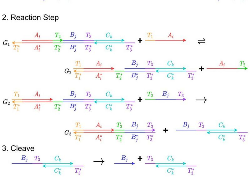 File:Riedel-research-computing-mathematical-functions-with-chemical-reactions-via-stochastic--f3f7808b.jpg