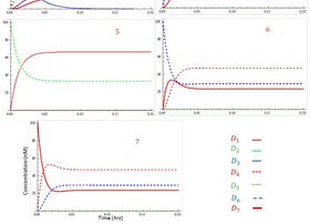 Molecular Computation of Complex Markov Chains with Self-Loop State Transitions