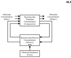 Synchronous Sequential Computation with Molecular Reactions