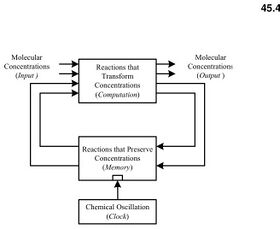 Synchronous Sequential Computation with Molecular Reactions