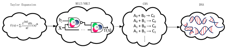File:Salehi Molecular Computation Methodology.png