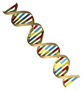 Dormuth DNA Storage and Computation.png
