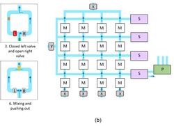 Neural Network Execution Using Nicked DNA and Microfluidics