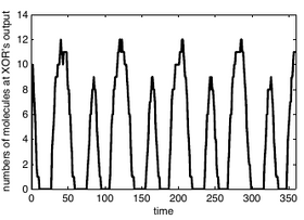 Stochastic Transient Analysis of Biochemical Systems and Its Application to the Design of Biochemical Logic Gates