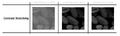 Thumbnail for version as of 02:27, 19 August 2026