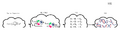 Thumbnail for version as of 01:22, 19 August 2026
