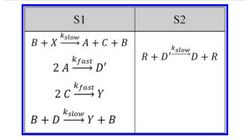 Discrete-Time Signal Processing with DNA