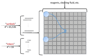 Automated Routing of Droplets for DNA Storage on a Digital Microfluidics Platform
