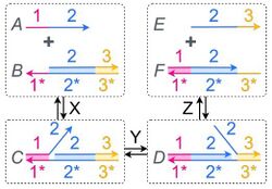 Cascadable Stochastic Logic for DNA Storage