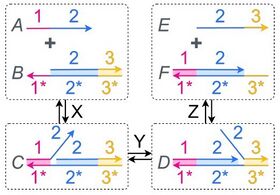Cascadable Stochastic Logic for DNA Storage