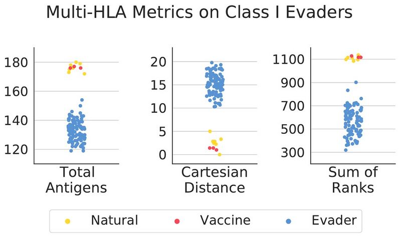 File:Riedel-research-evasive-spike-variants-elucidate-the-preservation-of-t-cell-immune-260699b3.jpg