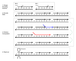 Solanki SIMD DNA Computations.png