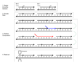 Solanki SIMD DNA Computations.png